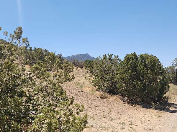 3.23 Acres of Land for Sale in Placitas, New Mexico