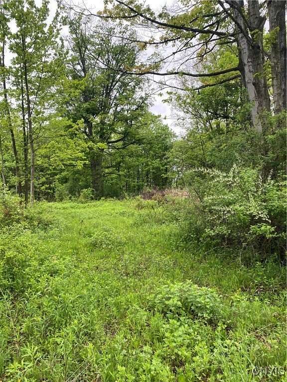 1 Acre of Residential Land for Sale in Westmoreland, New York