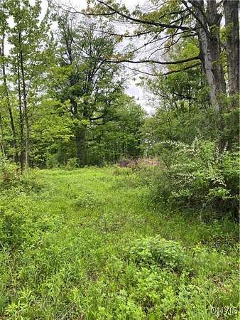 1 Acre of Residential Land for Sale in Westmoreland, New York