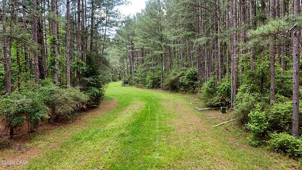 6.29 Acres of Residential Land for Sale in Westville, Florida