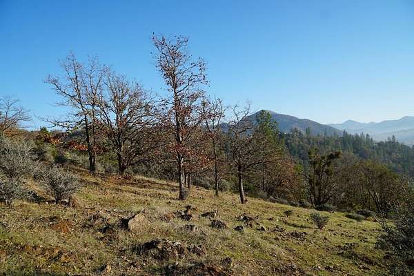 5.58 Acres of Residential Land for Sale in Rogue River, Oregon