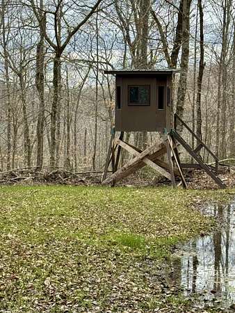 42 Acres of Recreational Land for Sale in Monticello, Kentucky