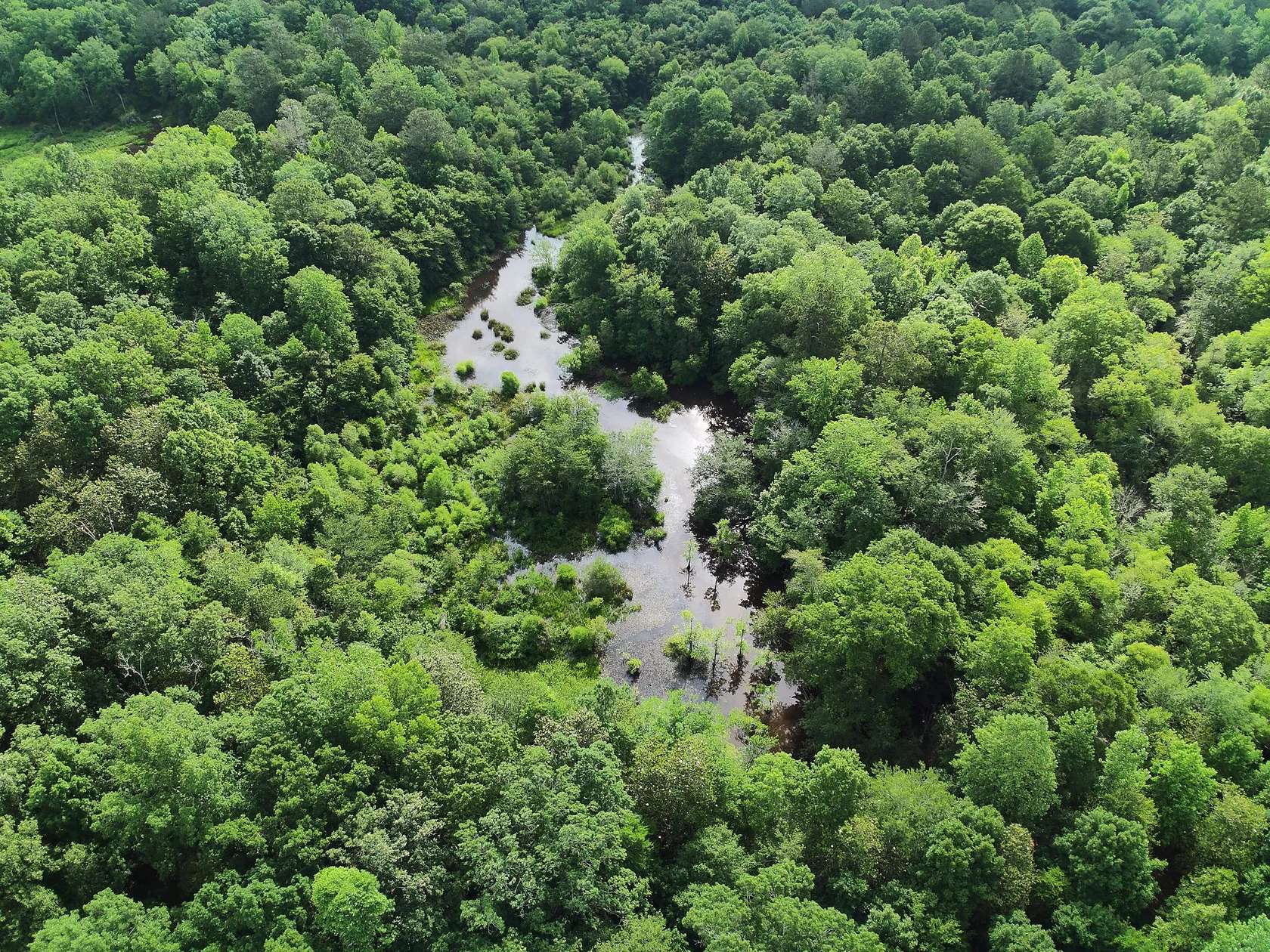 102 Acres of Land for Sale in Cochran, Georgia