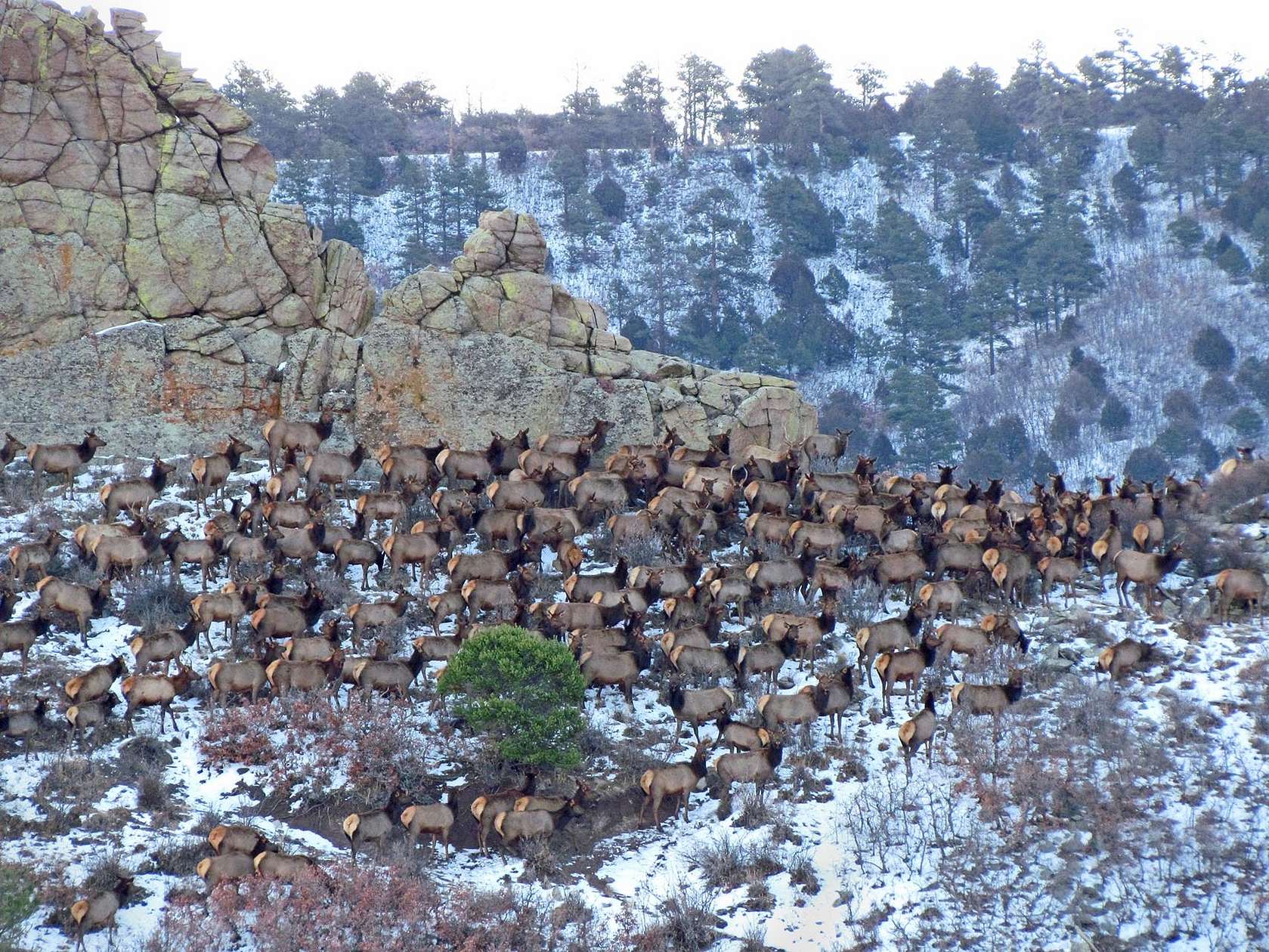 39 Acres of Recreational Land for Sale in La Veta, Colorado