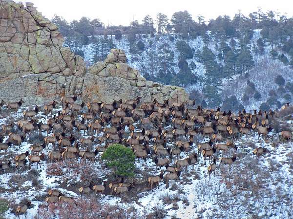 39 Acres of Recreational Land for Sale in La Veta, Colorado