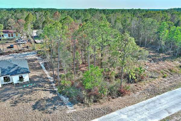 0.33 Acres of Residential Land for Sale in Lehigh Acres, Florida