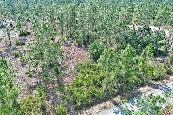 0.5 Acres of Residential Land for Sale in Lehigh Acres, Florida