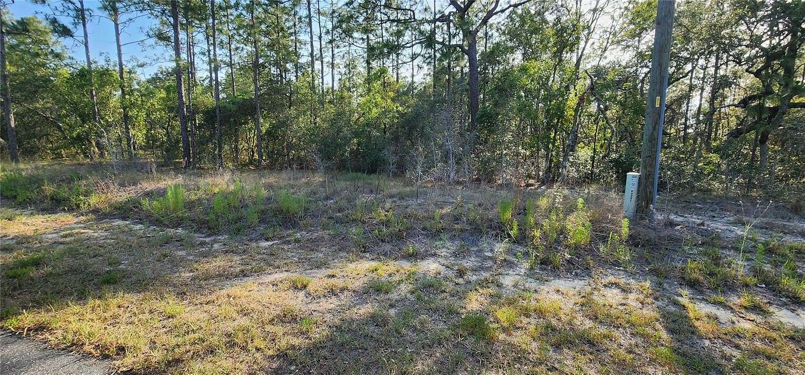 2 Acres of Residential Land for Sale in Dunnellon, Florida
