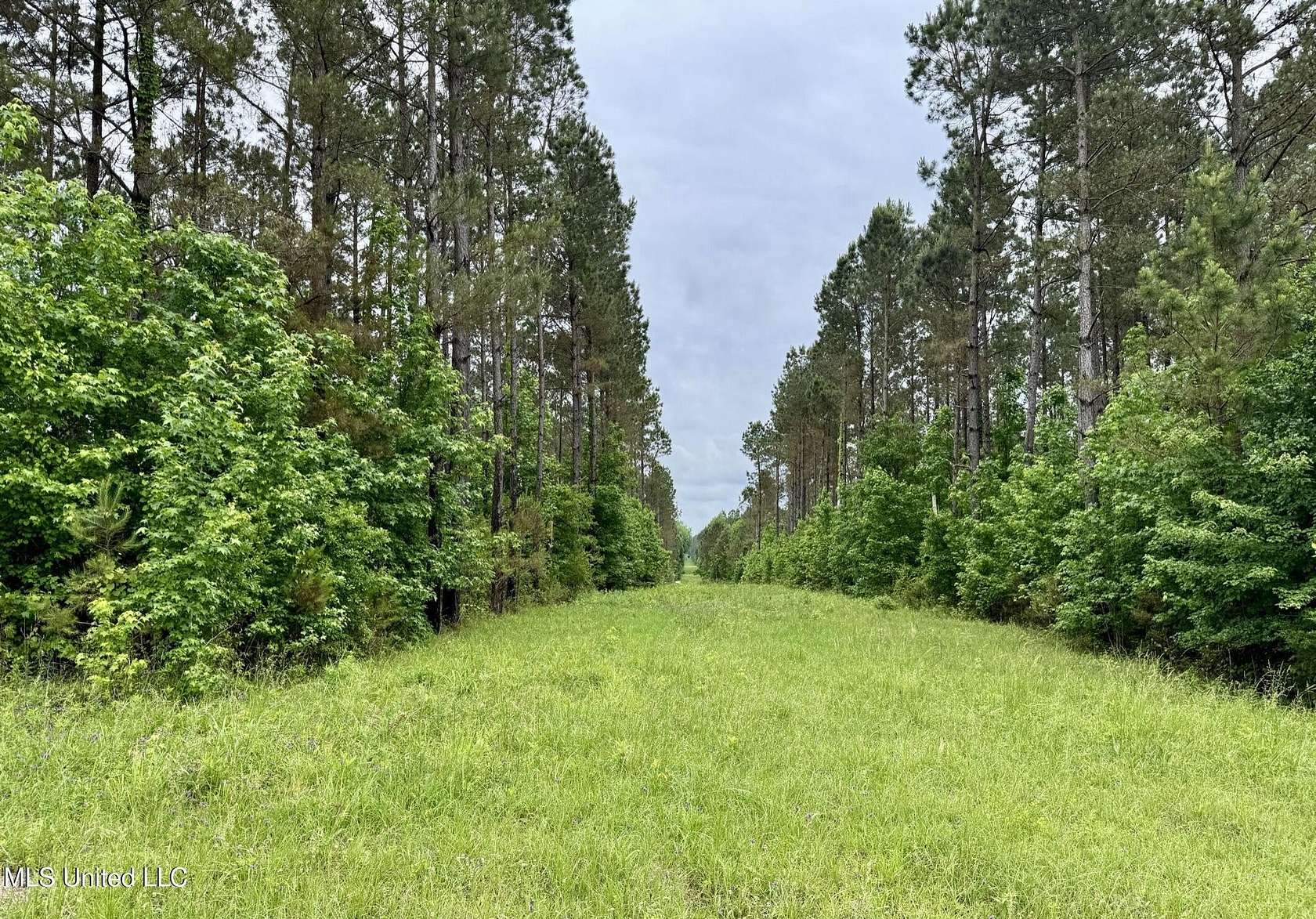 7.28 Acres of Residential Land for Sale in Bailey, Mississippi
