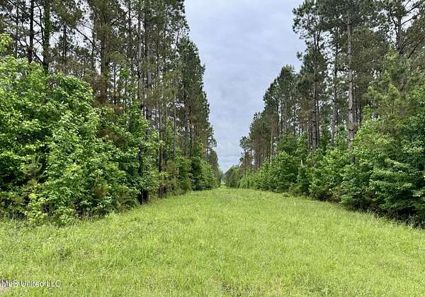 7.28 Acres of Residential Land for Sale in Bailey, Mississippi