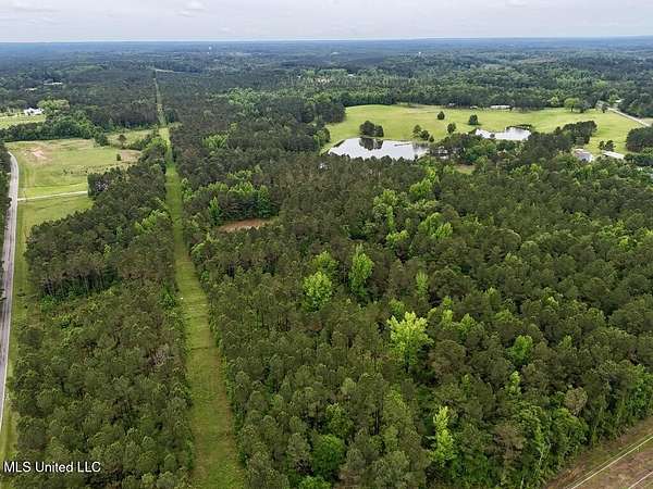 7.28 Acres of Residential Land for Sale in Bailey, Mississippi