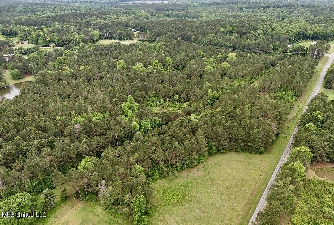 10 Acres of Residential Land for Sale in Bailey, Mississippi