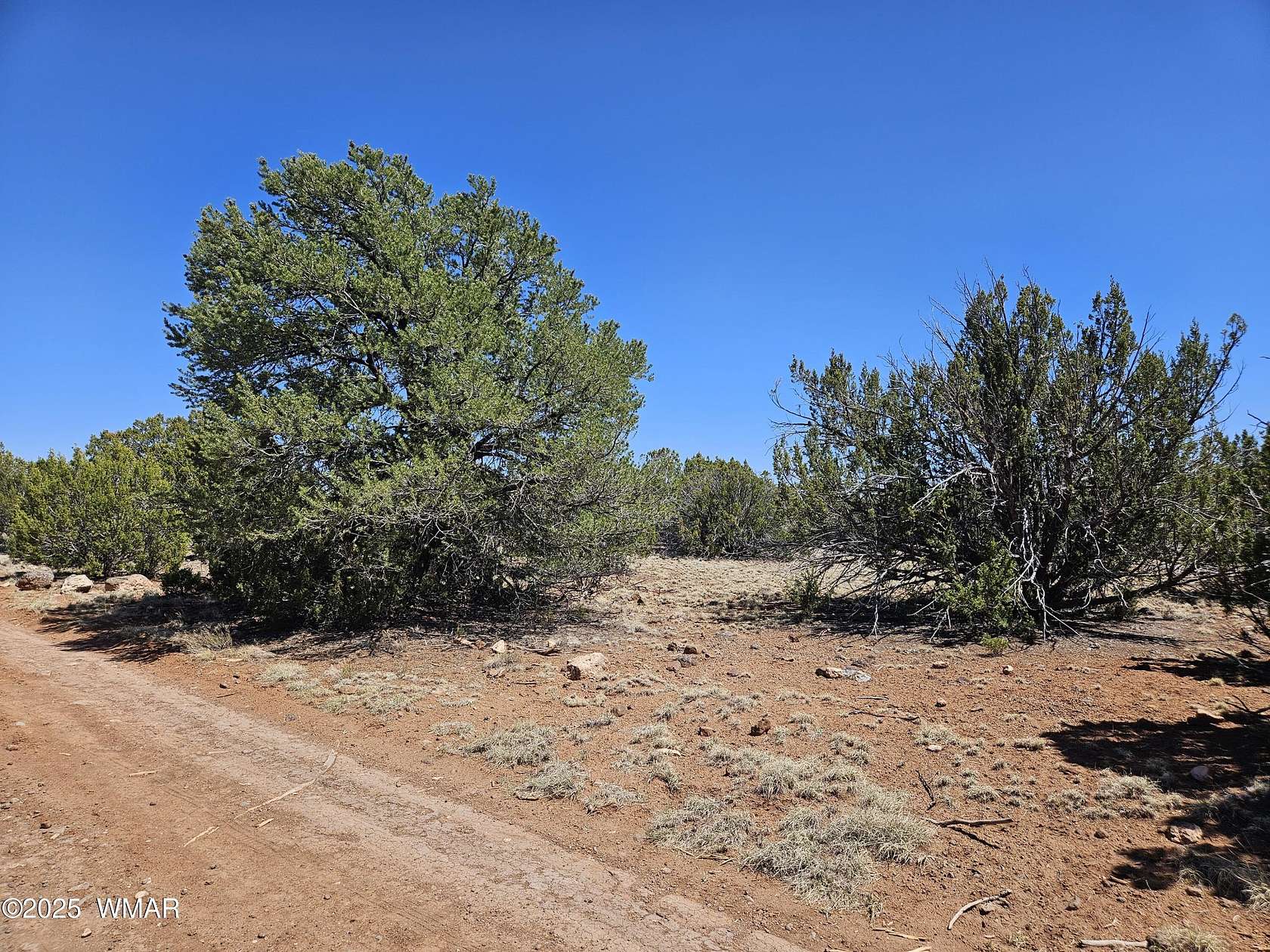 30.6 Acres of Land for Sale in Concho, Arizona