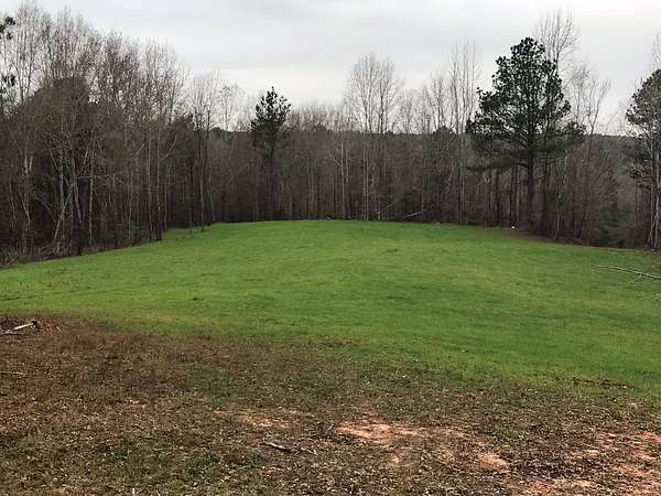 56 Acres of Recreational Land for Sale in Demopolis, Alabama