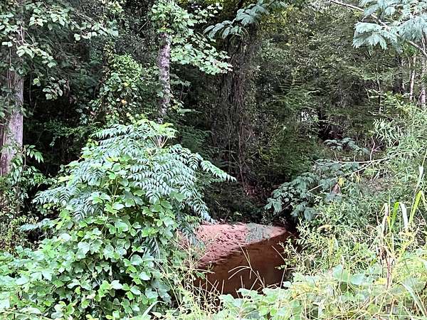 20 Acres of Recreational Land for Sale in Demopolis, Alabama