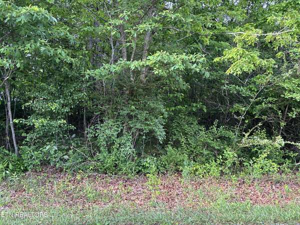 0.38 Acres of Residential Land for Sale in Crossville, Tennessee