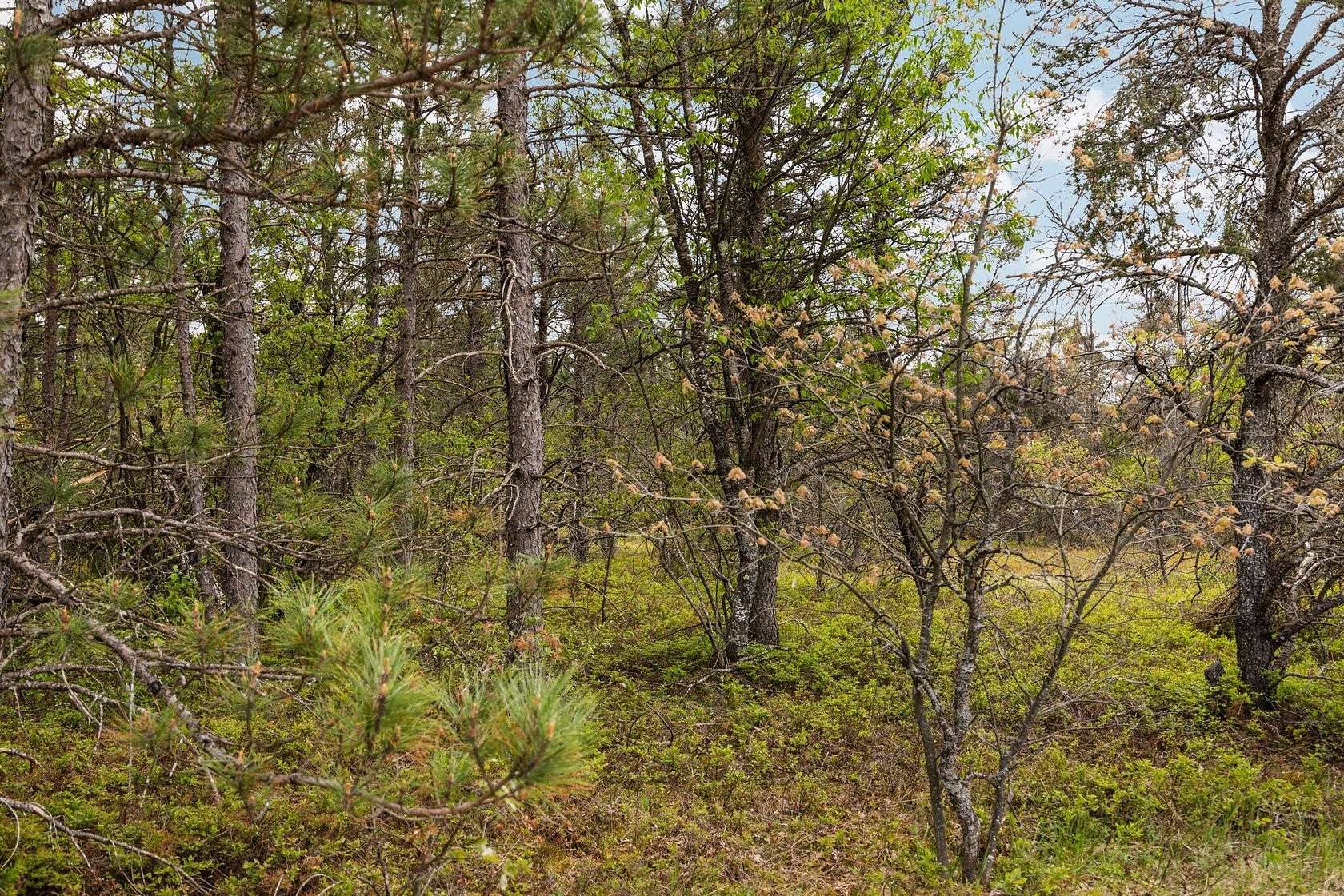 110 Acres of Recreational Land for Sale in Lewiston, Michigan