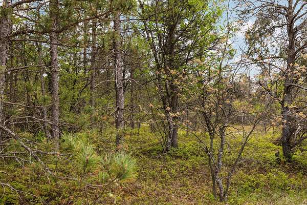 110 Acres of Recreational Land for Sale in Lewiston, Michigan