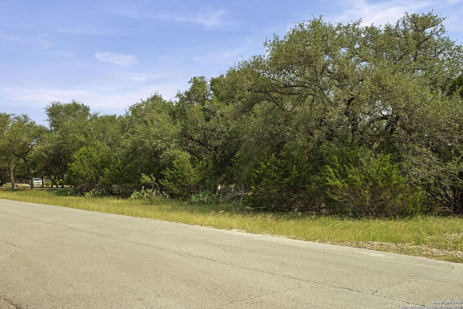 1 Acre of Residential Land for Sale in Spring Branch, Texas