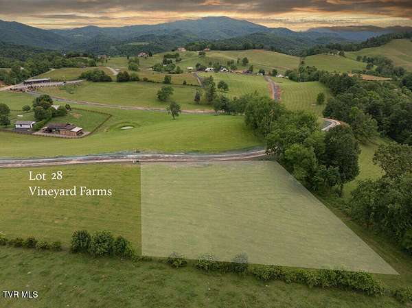 1 Acre of Residential Land for Sale in Butler, Tennessee