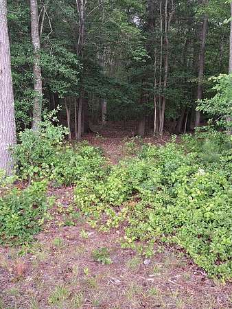 8.23 Acres of Residential Land for Sale in New Church, Virginia