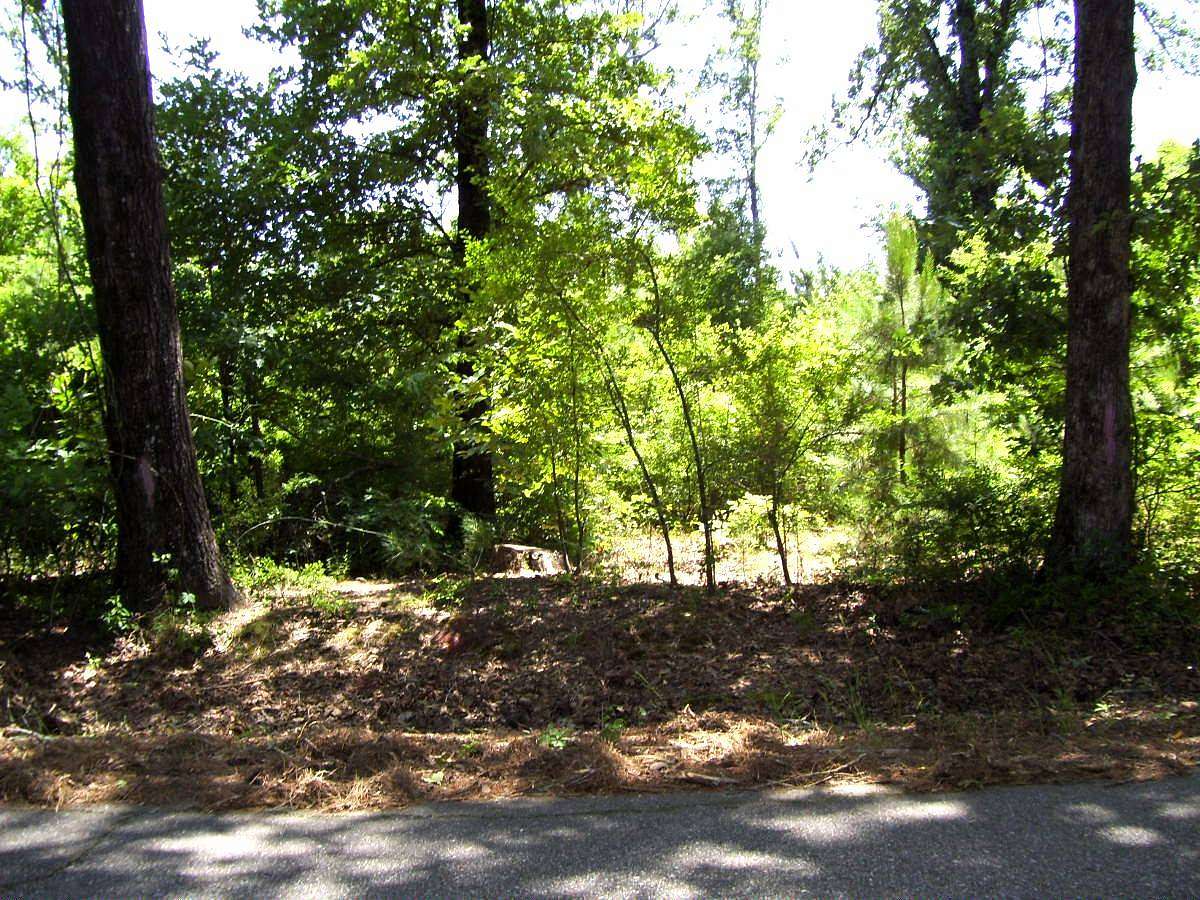 15.1 Acres of Recreational Land for Sale in Ashdown, Arkansas