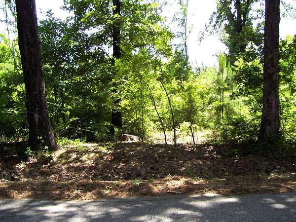 15.1 Acres of Recreational Land for Sale in Ashdown, Arkansas