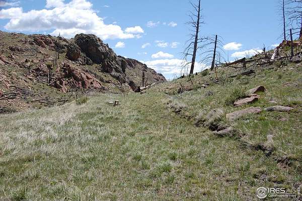 1.26 Acres of Land for Sale in Livermore, Colorado