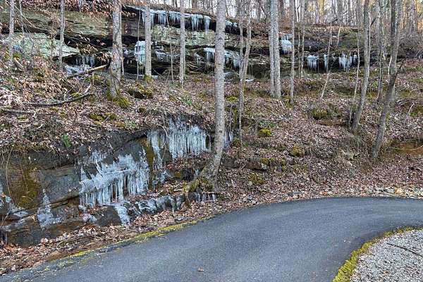 9.45 Acres of Residential Land with Home for Sale in Houston, Alabama