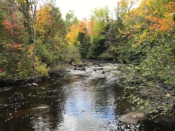 41.5 Acres of Recreational Land for Sale in Mellen, Wisconsin