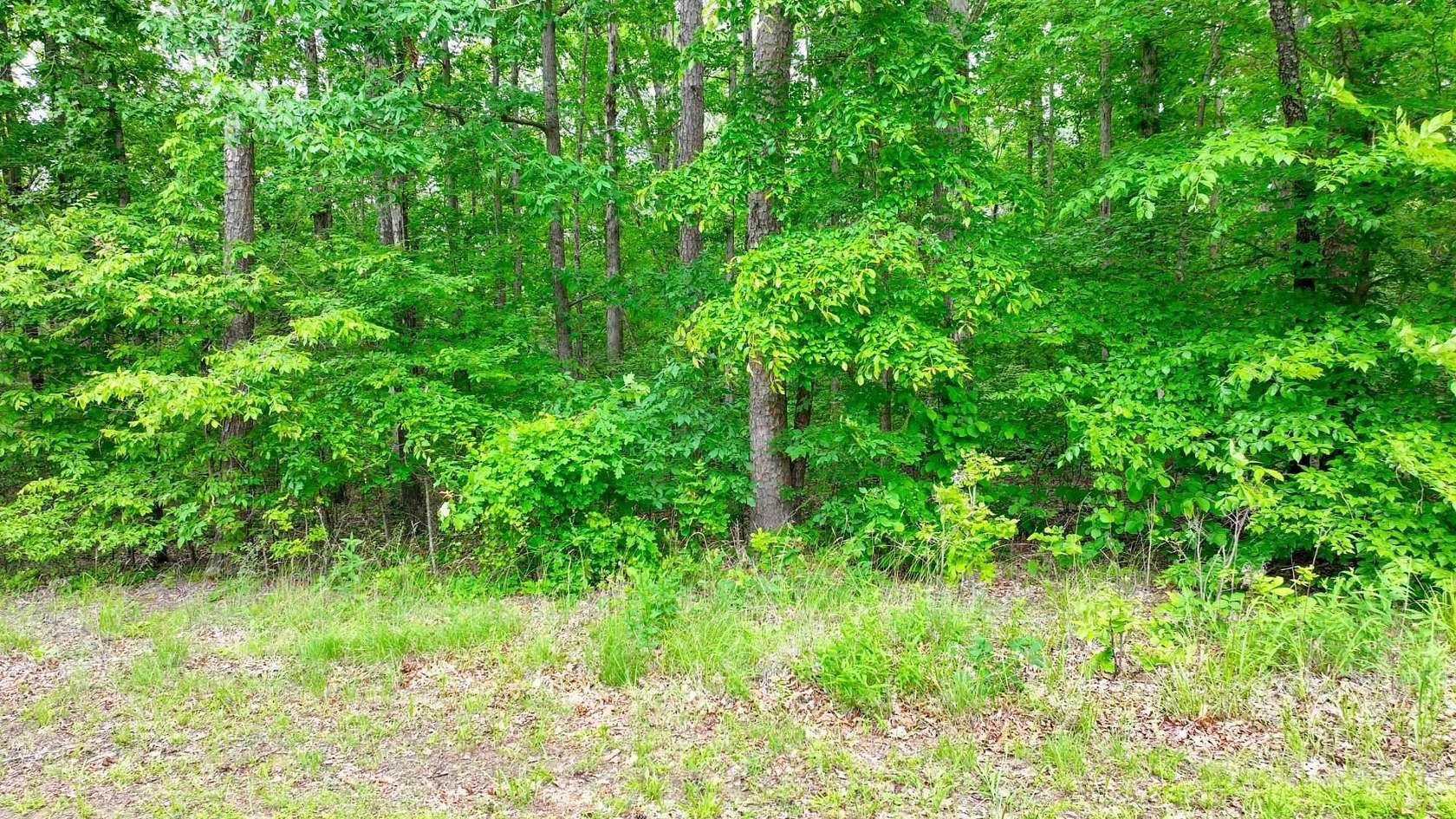 8 Acres of Land for Sale in Counce, Tennessee