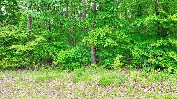 8 Acres of Land for Sale in Counce, Tennessee