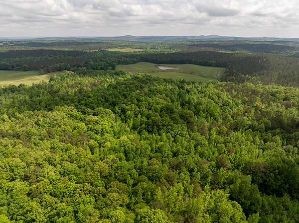 24.2 Acres of Recreational Land for Sale in Goodwater, Alabama