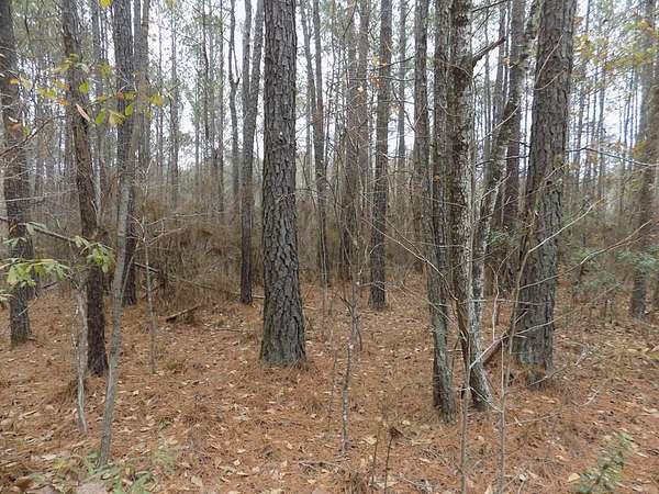 14.8 Acres of Land for Sale in Hamilton, Georgia