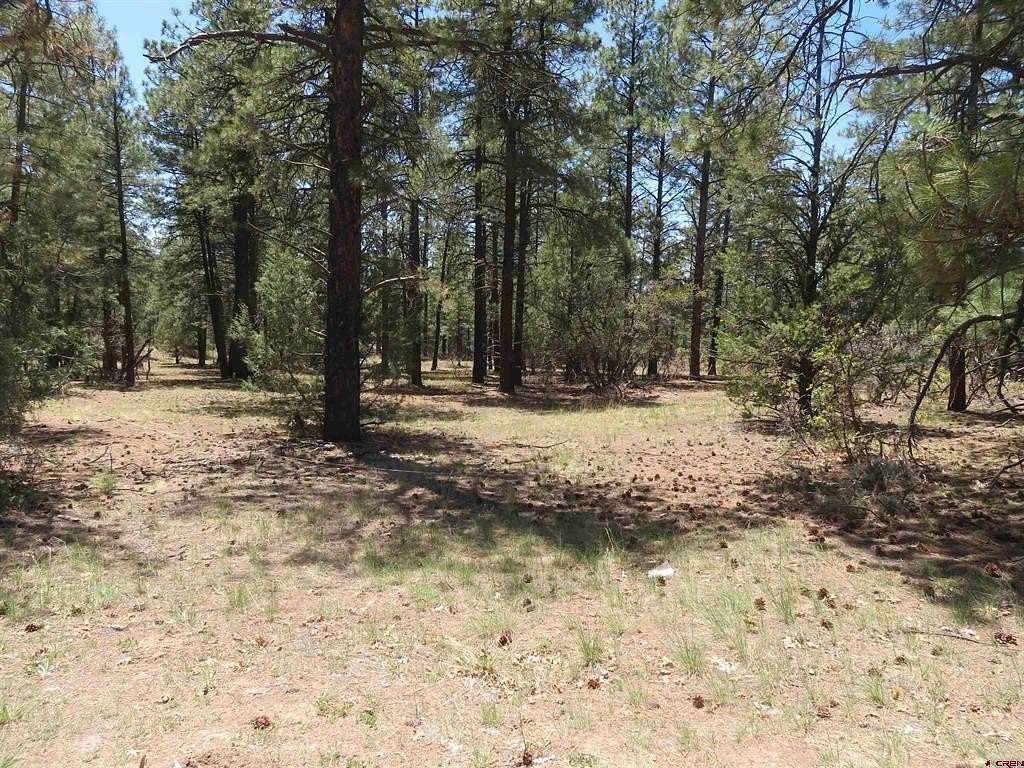 1.1 Acres of Residential Land for Sale in Pagosa Springs, Colorado