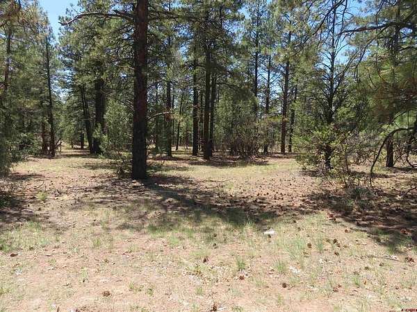 1.1 Acres of Residential Land for Sale in Pagosa Springs, Colorado