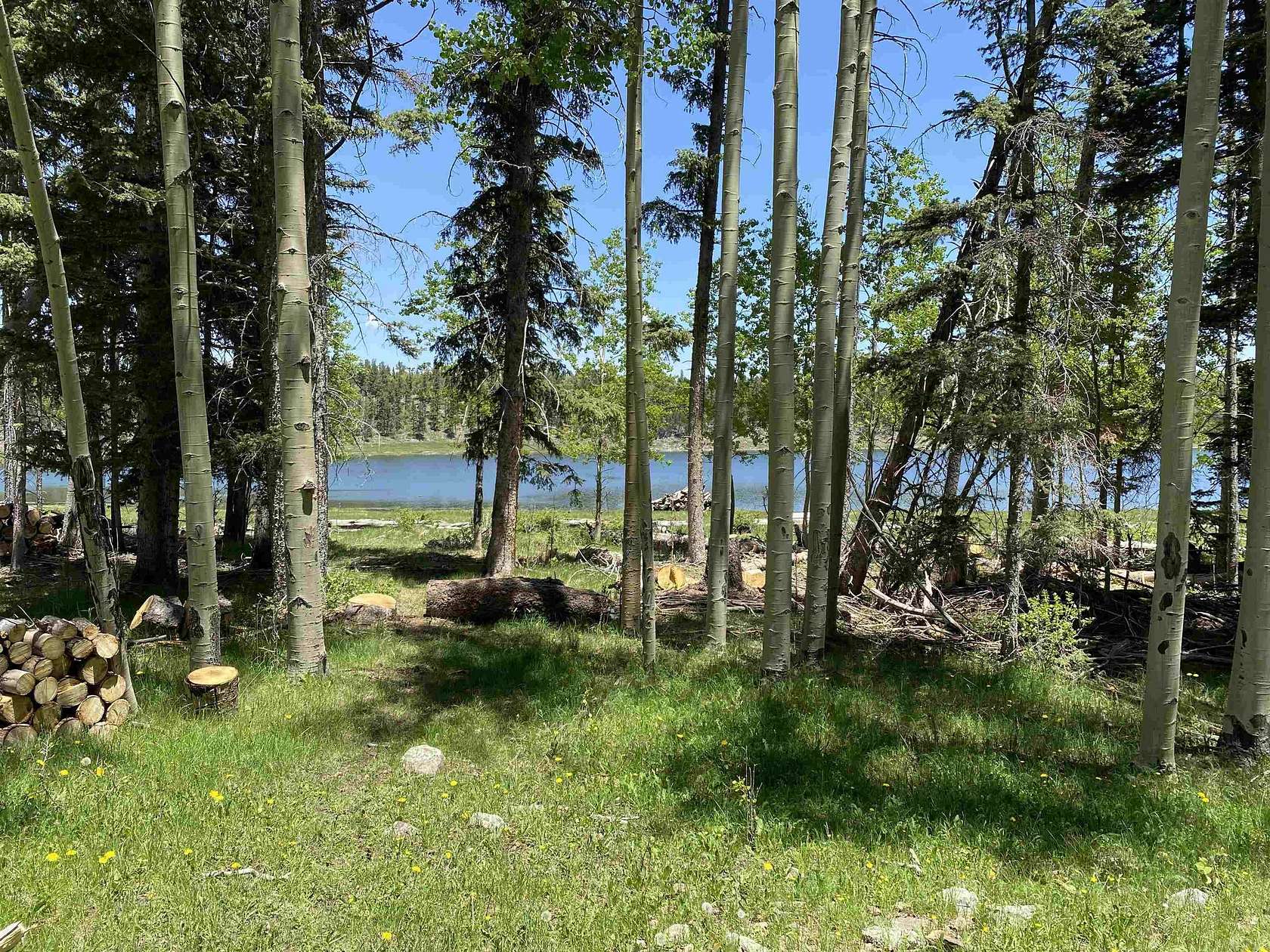 10.6 Acres of Recreational Land for Sale in Angel Fire, New Mexico