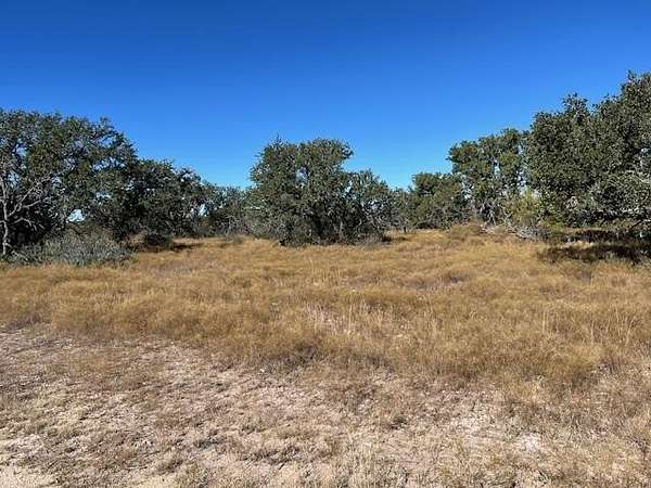 25 Acres of Agricultural Land for Sale in Brady, Texas