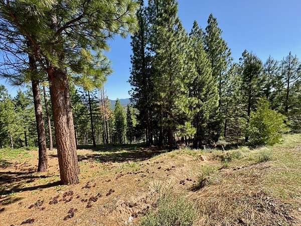 2.13 Acres of Residential Land for Sale in Portola, California