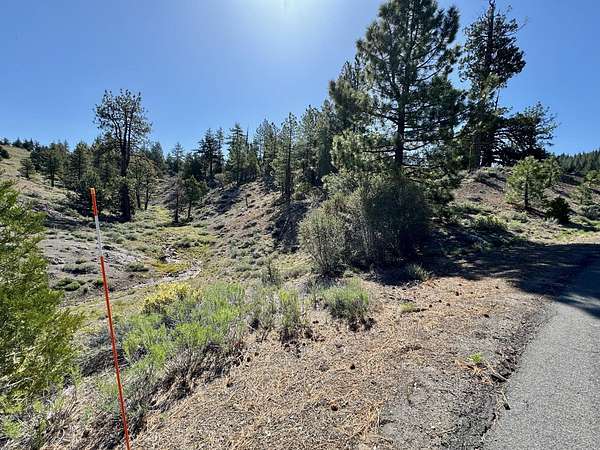 2 Acres of Residential Land for Sale in Portola, California