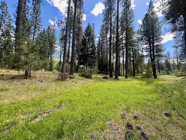 0.47 Acres of Residential Land for Sale in Blairsden, California
