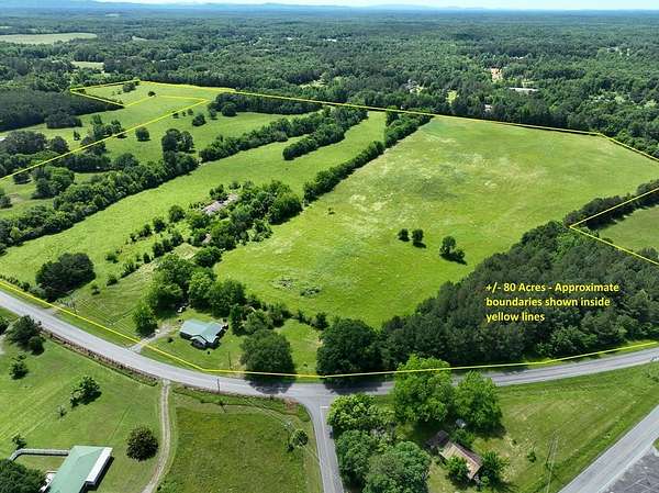 80 Acres of Land for Sale in Chatsworth, Georgia