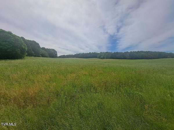 22 Acres of Land for Sale in Limestone, Tennessee