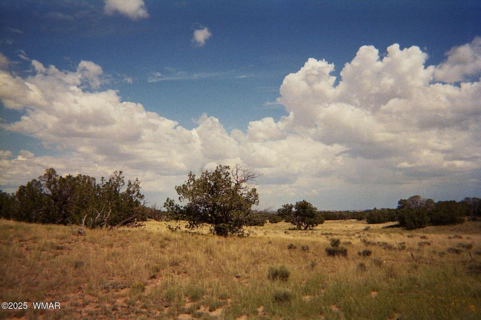 40.6 Acres of Land for Sale in St. Johns, Arizona