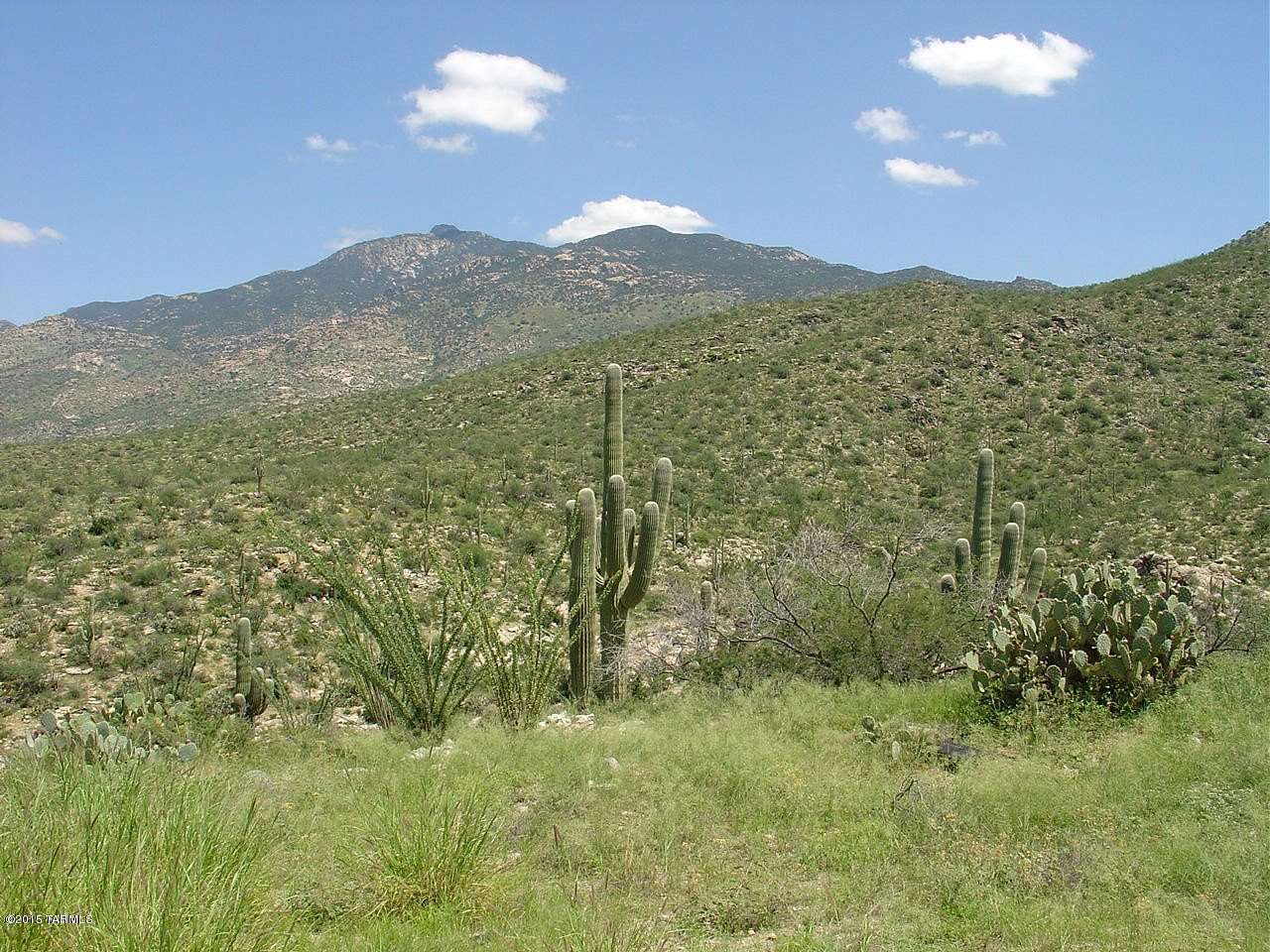 36.4 Acres of Land for Sale in Vail, Arizona