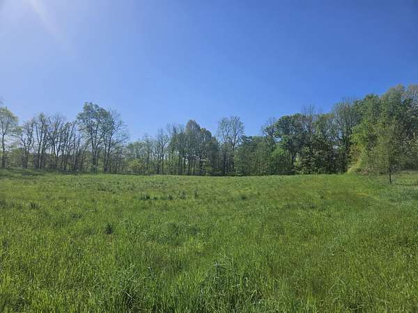 31 Acres of Recreational Land for Auction in Bellevue, Michigan