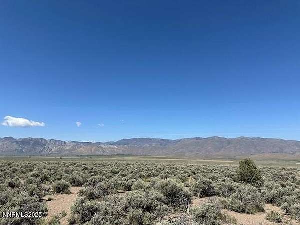 321 Acres of Recreational Land for Sale in Gardnerville, Nevada