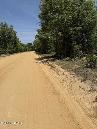 10.1 Acres of Land for Sale in Fountain, Florida