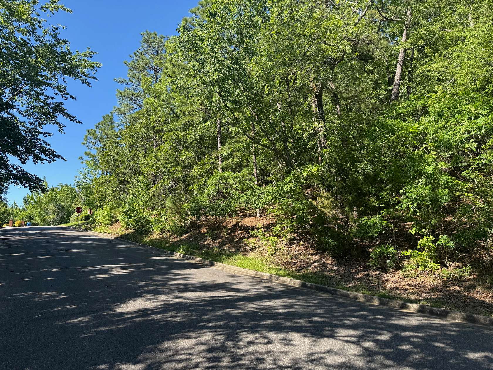 2.3 Acres of Residential Land for Sale in Jacksonville, Alabama