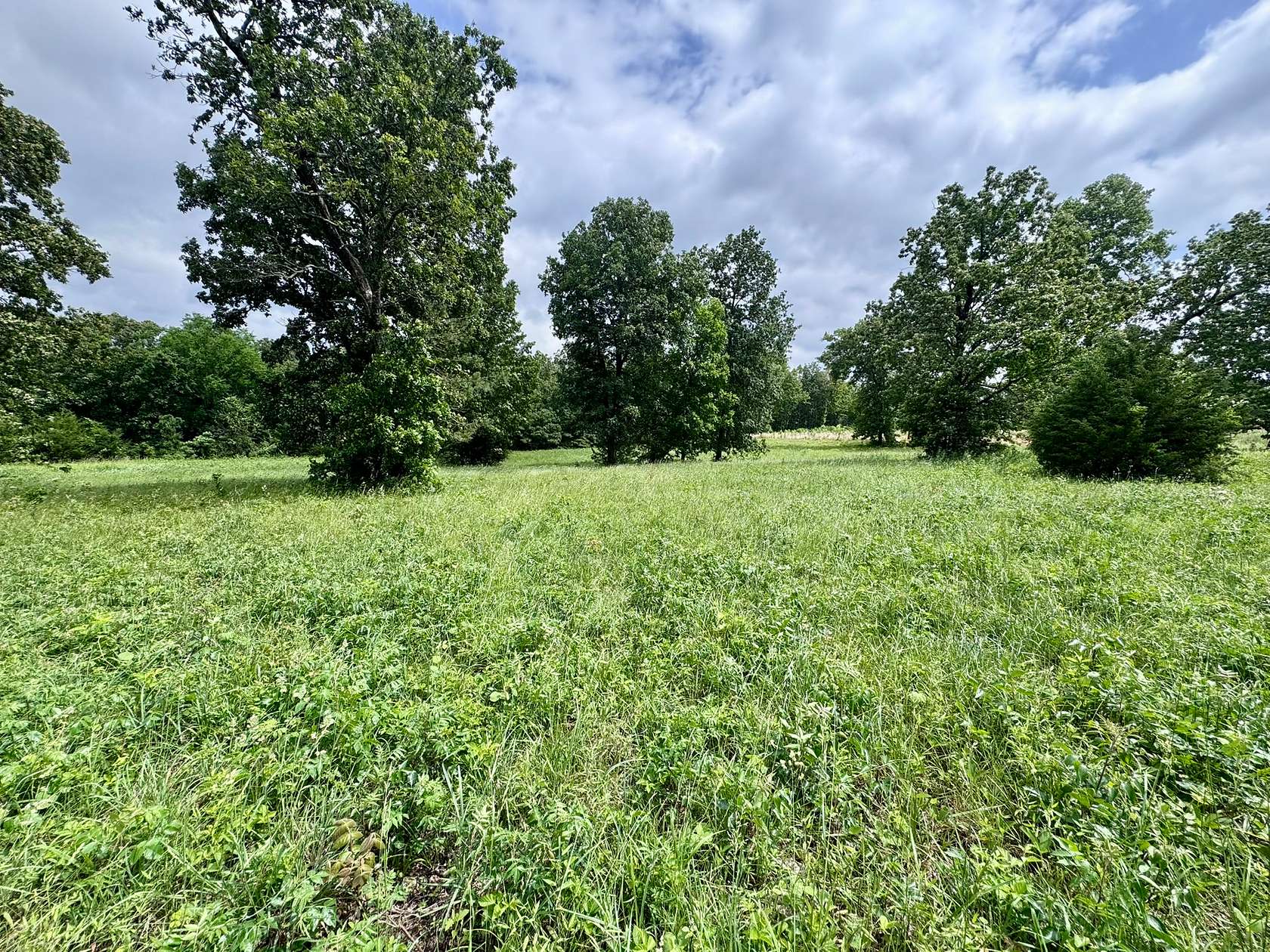 4 Acres of Land for Sale in Highland, Arkansas